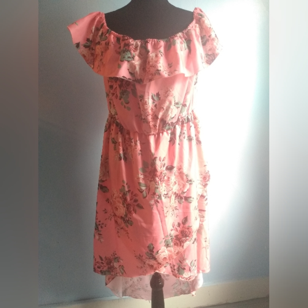 NWOT Shein size 1x pink floral high low ruffle neck dress